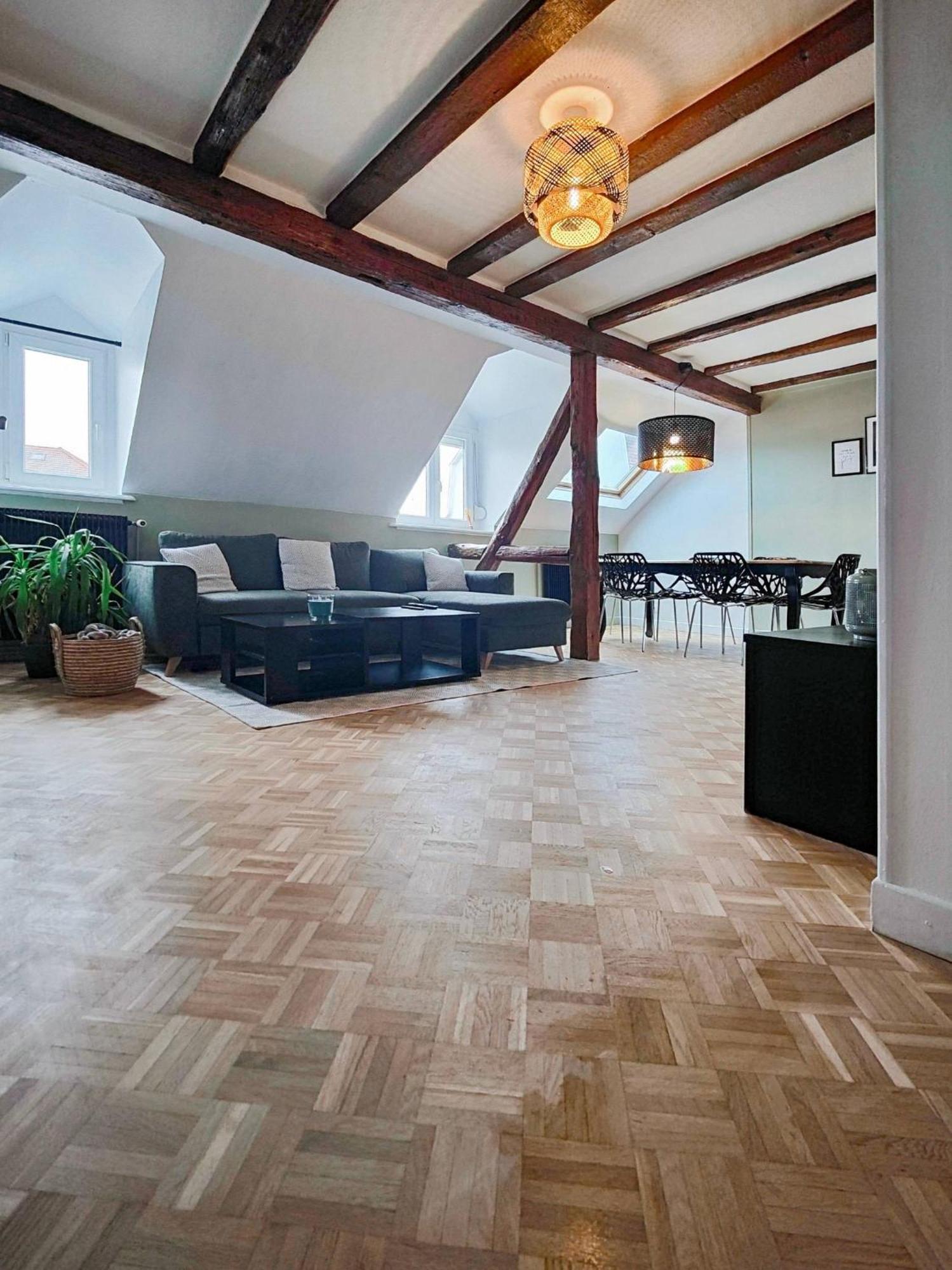 Le Baroque En Duplex Appartement Mulhouse